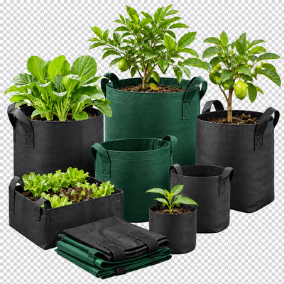 Geo Bags
