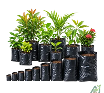 Nursery Black Poly Bag | নার্সারি কালো পলি ব্যাগ | 4×4 – 18×18 Size Available